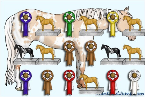 Horse Color: Unknown 