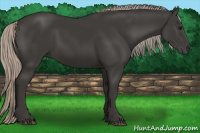 Horse Color:Gray Silver Black 