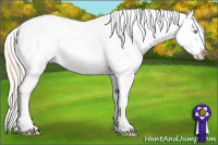 Horse Color:Palomino Pearl Dun Blanket 