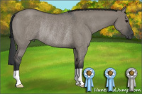 Horse Color:Grullo Roan Rabicano 