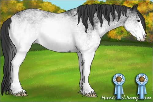 Horse Color: White Spotted Black 