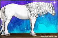 Horse Color:Silver Black Splash Appaloosa 