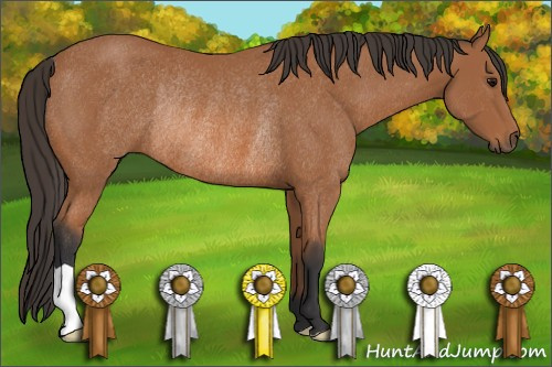 Horse Color: Unknown 