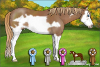 Horse Color:Chestnut Splash Frame 