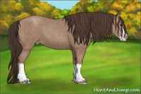 Horse Color:Classic Champagne Splash 
