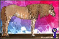 Horse Color:Red Dun Splash  Brindle