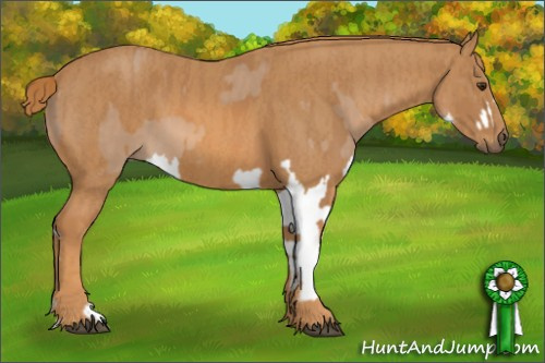 Horse Color: Red Dun Splash  Brindle