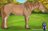 Horse Color:Red Dun Splash Brindle
