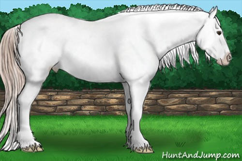 Horse Color: Liver Chestnut Near Fewspot 