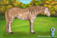 Horse Color:Red Dun Splash  Brindle
