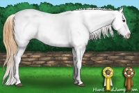 Horse Color:Buckskin Blanket 