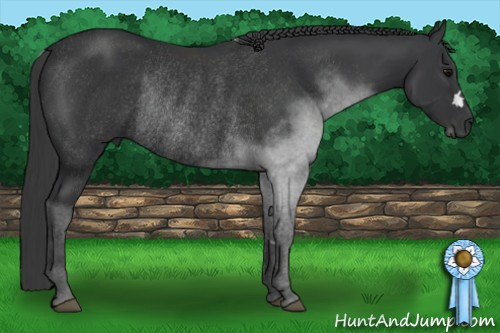 Horse Color: Brown Rabicano 