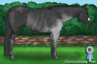 Horse Color:Brown Rabicano 