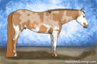 Horse Color:Red Dun Splash Brindle