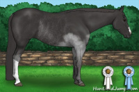 Horse Color:Buckskin Rabicano 