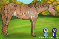 Horse Color:Bay Splash Brindle