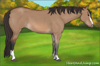 Horse Color:Bay Roan Dun Sabino 