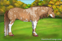 Horse Color:Red Dun Splash Brindle