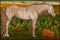 Horse Color:Red Dun Splash  Brindle