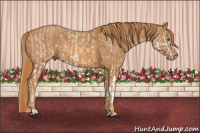 Horse Color:Red Dun Splash  Brindle