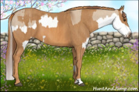 Horse Color:Red Dun Splash  Brindle