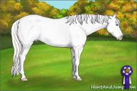 Horse Color:Silver Amber Champagne Pearl Appaloosa 