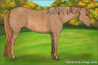 Horse Color:Red Dun Splash  Brindle
