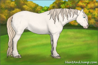 Horse Color:Perlino Roan Dun 