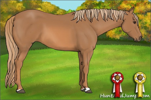 Horse Color: Chestnut 