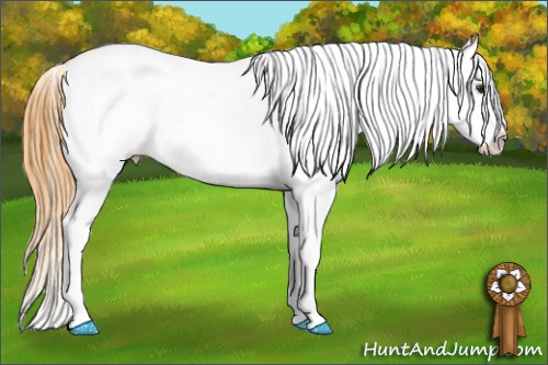 Horse Color: White Spotted Buckskin Dun Blanket 