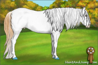 Horse Color:White Spotted Buckskin Dun Blanket 
