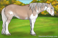 Horse Color:Silver Bay Dun Splash 