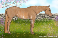 Horse Color:Red Dun Splash  Brindle