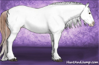 Horse Color:Liver Red Dun Appaloosa 