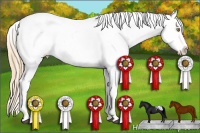 Horse Color:Chestnut Pearl Near Fewspot 