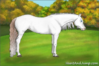 Horse Color:Brown Dun Splash Near Leopard Rabicano 