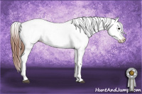 Horse Color:Grullo Near Leopard 
