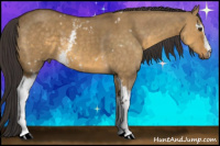Horse Color:White Spotted Buckskin Dun 