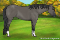 Horse Color:Grullo Tobiano 