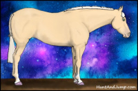 Horse Color:Gold Cream Champagne Sabino