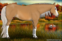 Horse Color:White Spotted Silver Buckskin 