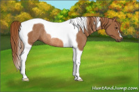 Horse Color:Chestnut Tobiano Rabicano 