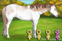 Horse Color:White Spotted Bay Roan Pearl Splash Frame