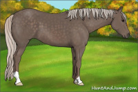 Horse Color:Silver Black 