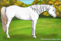 Horse Color:Grullo Splash Tobiano Frame Varnish 