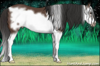 Horse Color:Bay Splash Frame