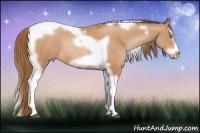 Horse Color:Bay Pearl Splash Tobiano Frame Rabicano 