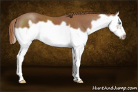 Horse Color:Chestnut Splash Frame