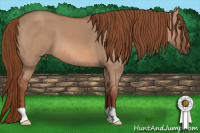 Horse Color:Liver Red Dun 