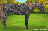 Horse Color:Liver Chestnut Ice 